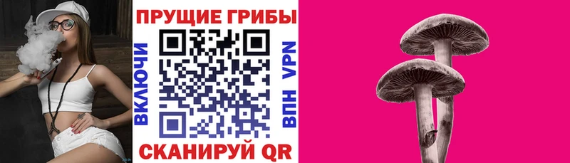Псилоцибиновые грибы GOLDEN TEACHER  Лабытнанги 